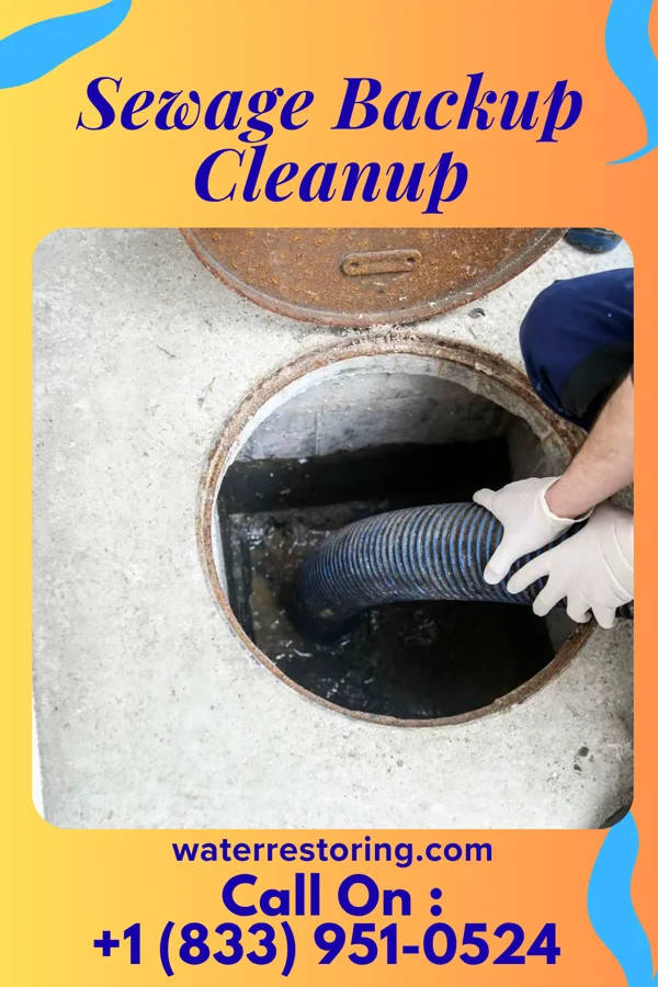 Sewage Backup Cleanup in Level Plains, AL